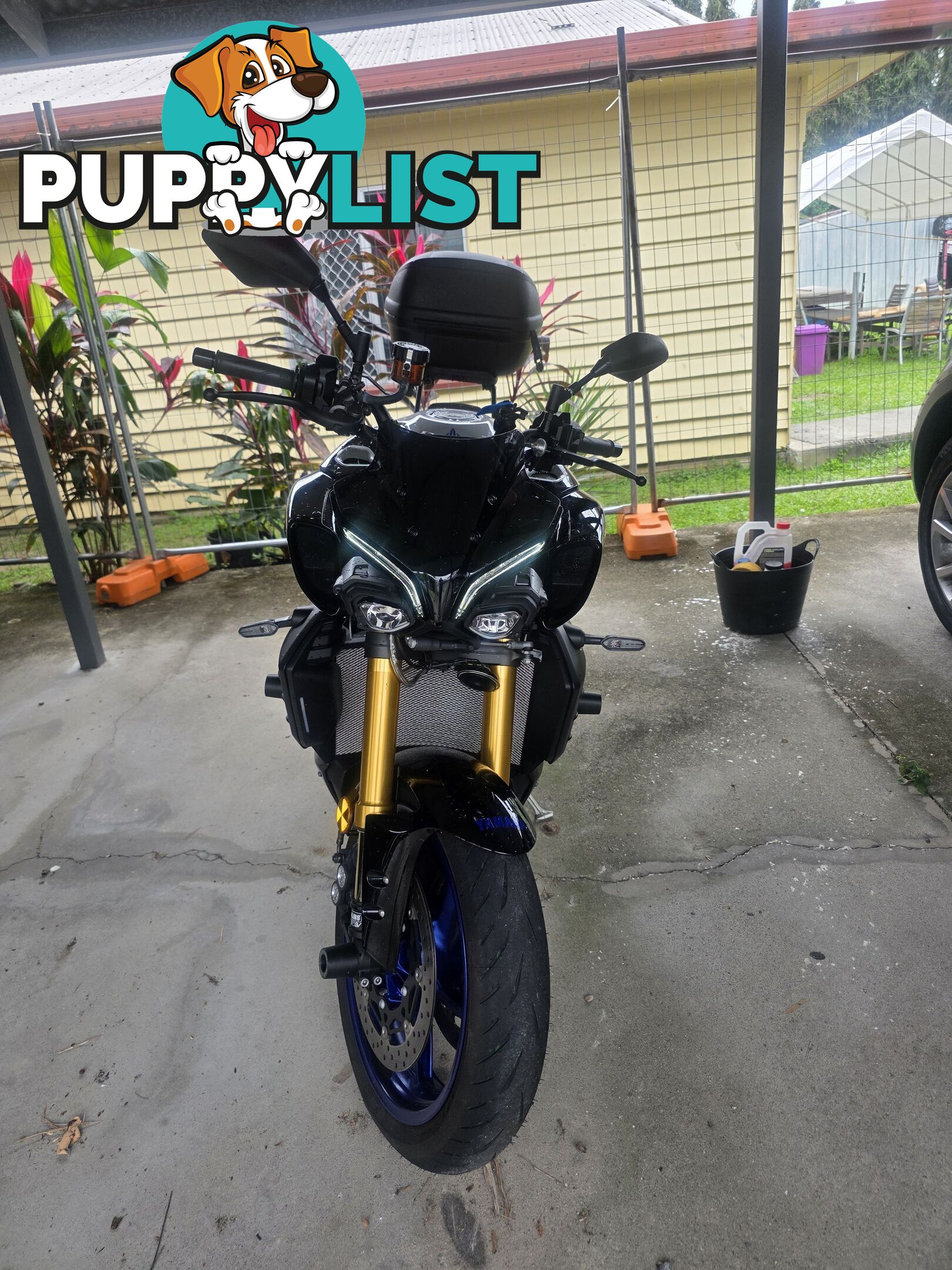 2024 Yamaha MT-01 SP
