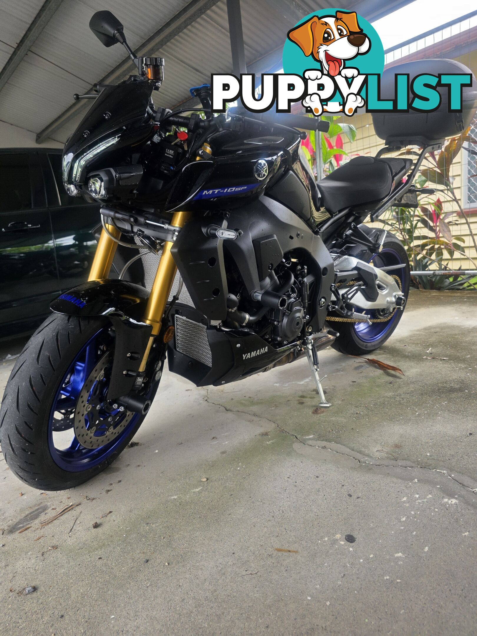 2024 Yamaha MT-01 SP
