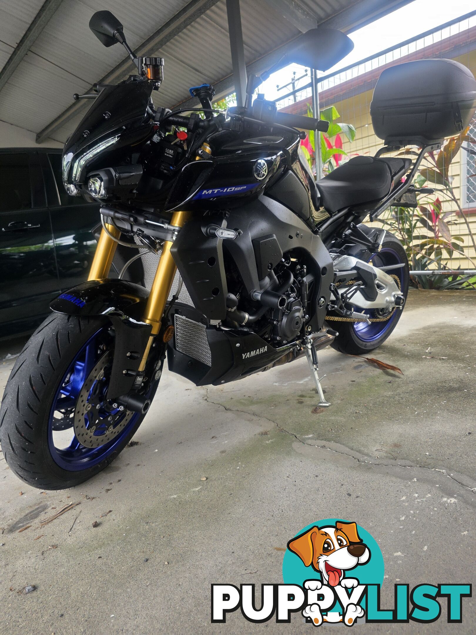 2024 Yamaha MT-01 SP