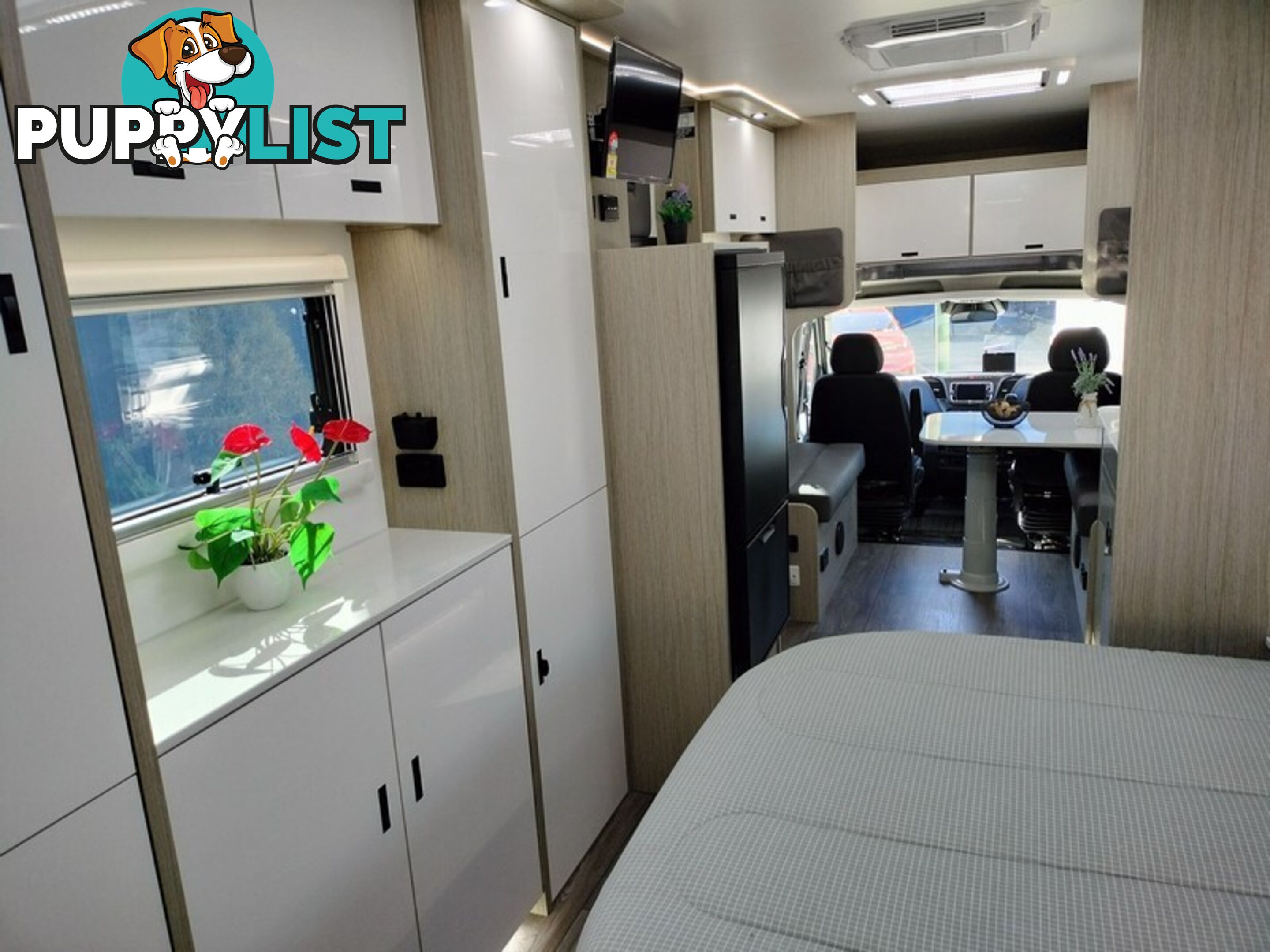 2025 Willow Kauri Motorhome 2504