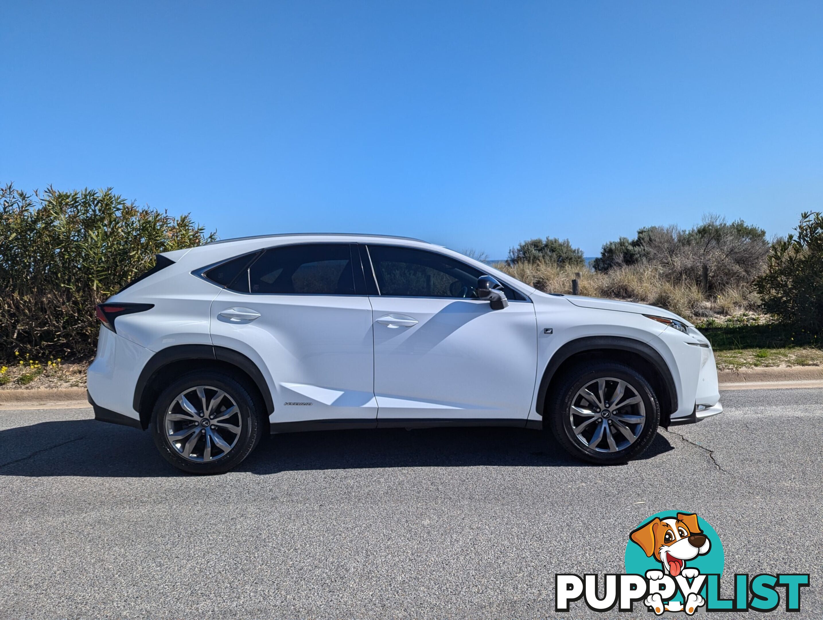 2015 Lexus NX AYZ15R AWD F SUV Automatic