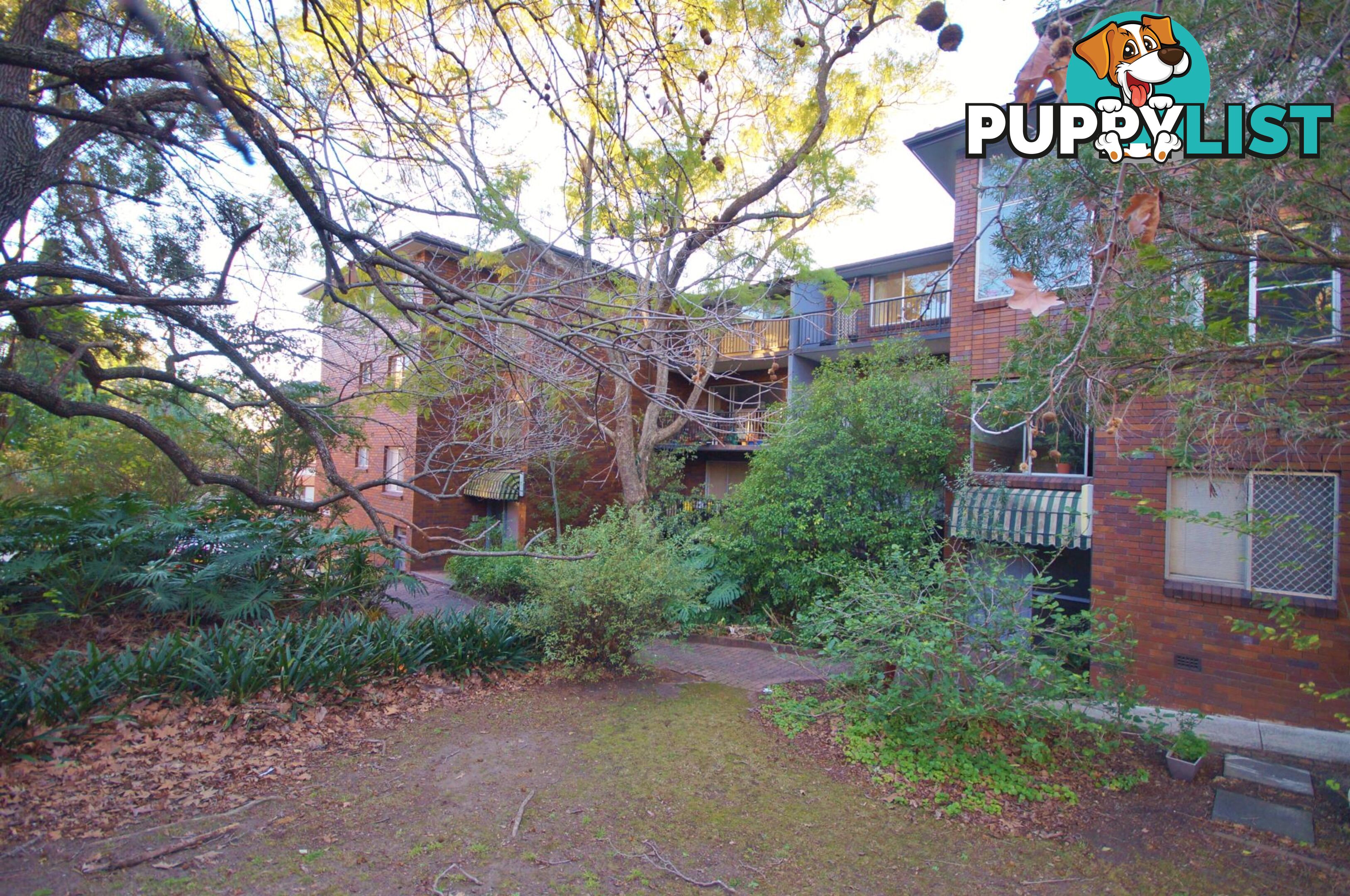 16/11a Cambridge St GLADESVILLE NSW 2111