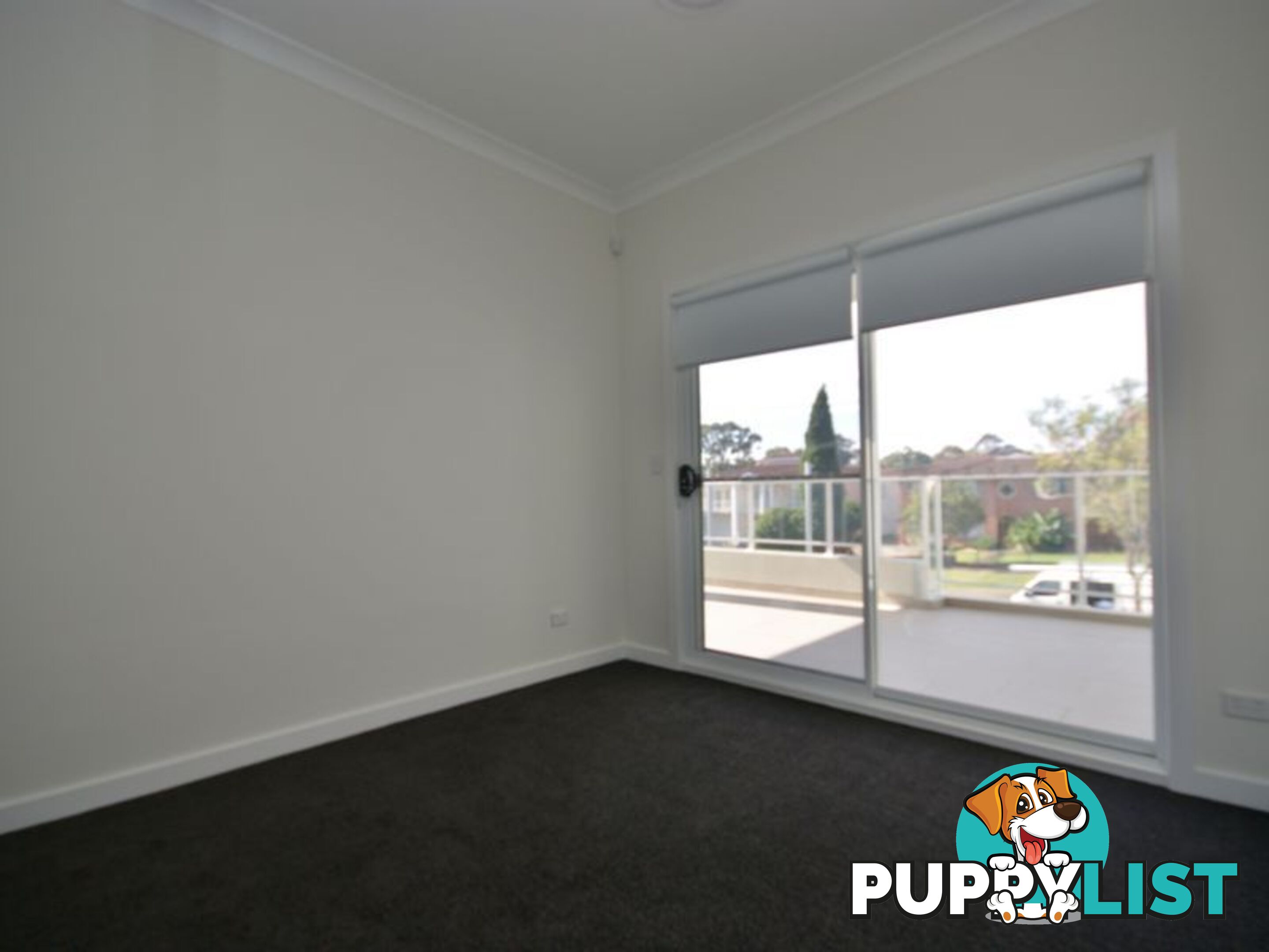 152 The Avenue CONDELL PARK NSW 2200