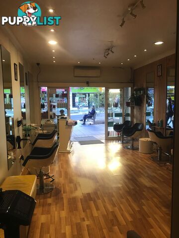 19 Hercules Street Ashfield NSW 2131