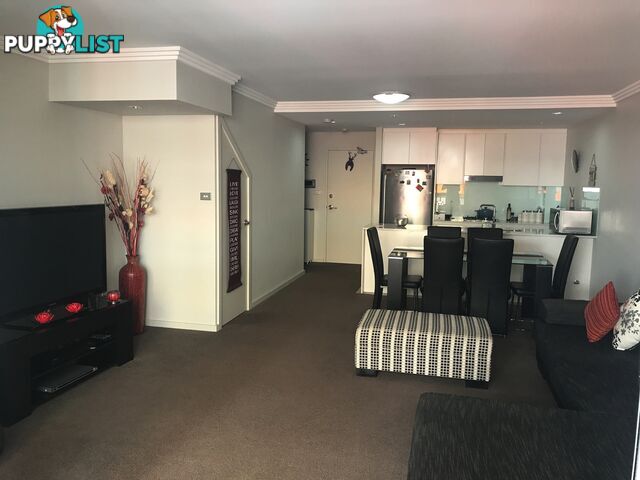 30 9-11 Cowper St Parramatta NSW 2150