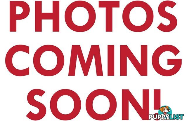 2021 Citroen C3 Shine  Hatch