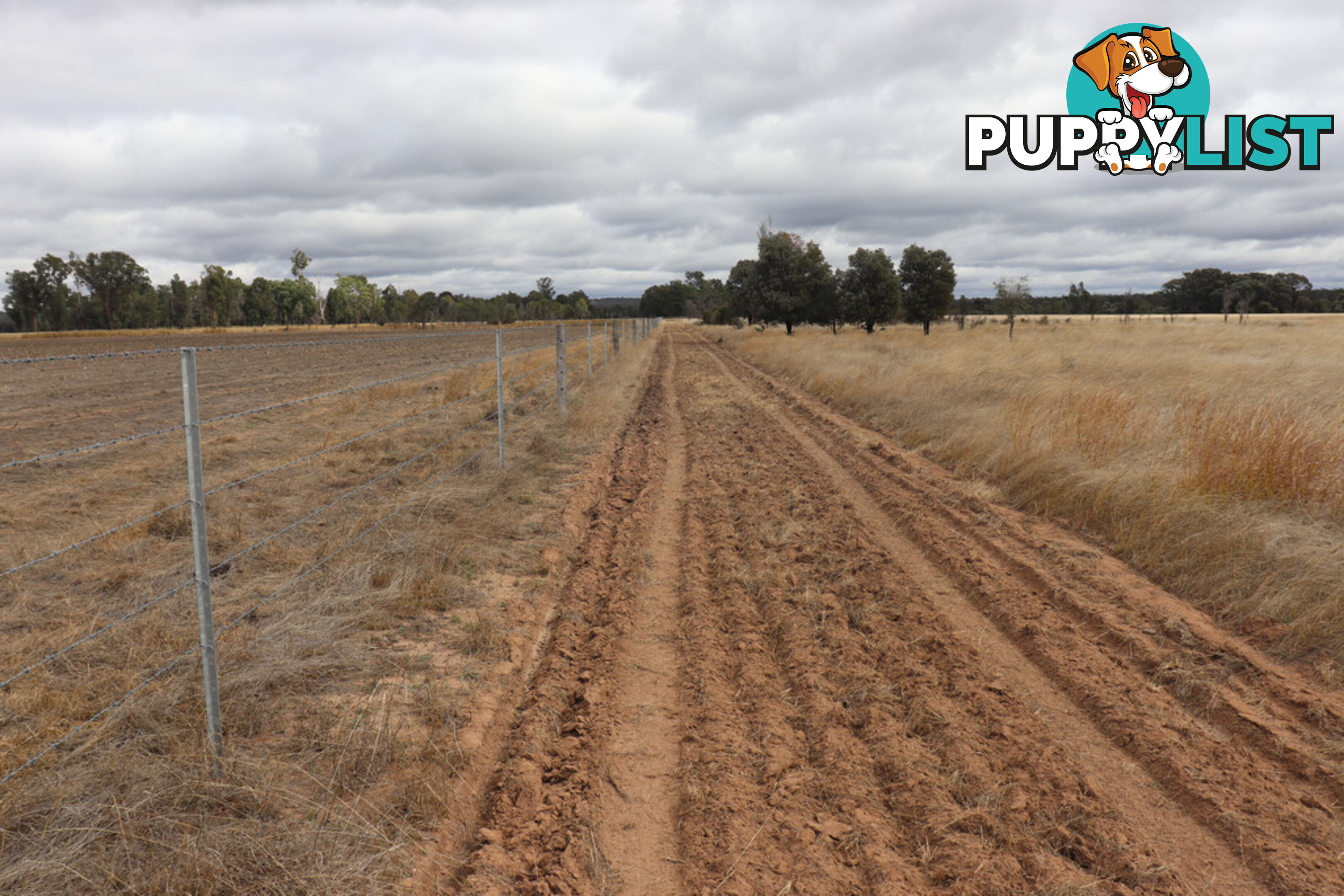 Lot 52 Chinchilla Wondai Road JANDOWAE QLD 4410