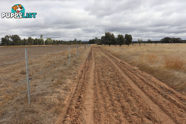 Lot 52 Chinchilla Wondai Road JANDOWAE QLD 4410