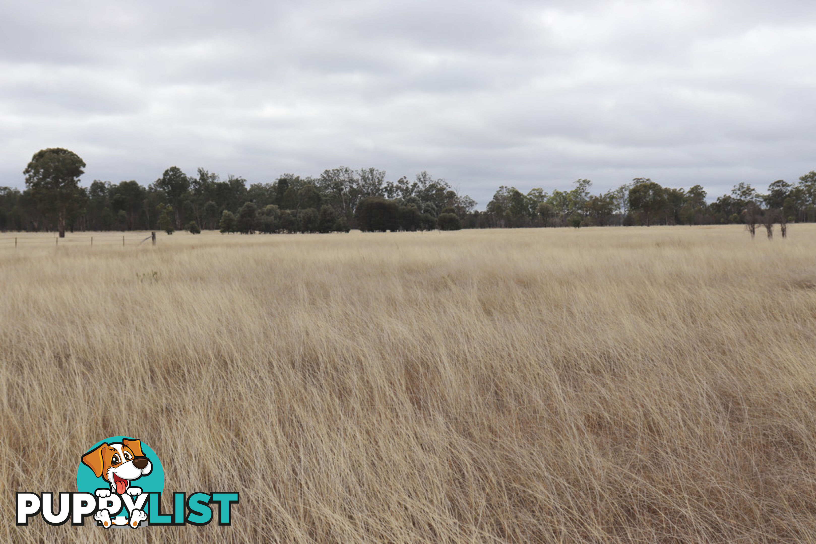 Lot 52 Chinchilla Wondai Road JANDOWAE QLD 4410