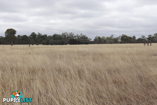 Lot 52 Chinchilla Wondai Road JANDOWAE QLD 4410