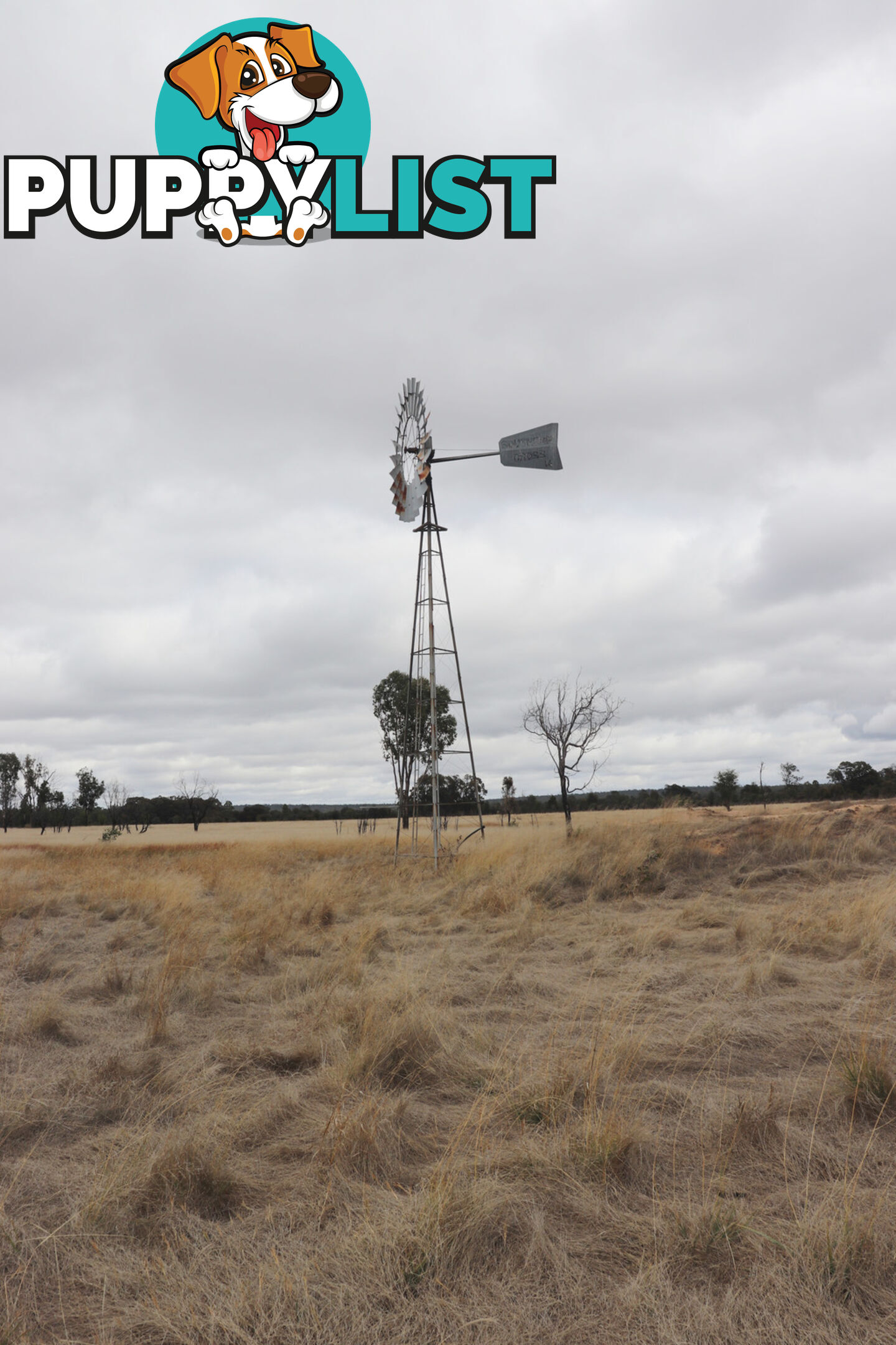 Lot 52 Chinchilla Wondai Road JANDOWAE QLD 4410