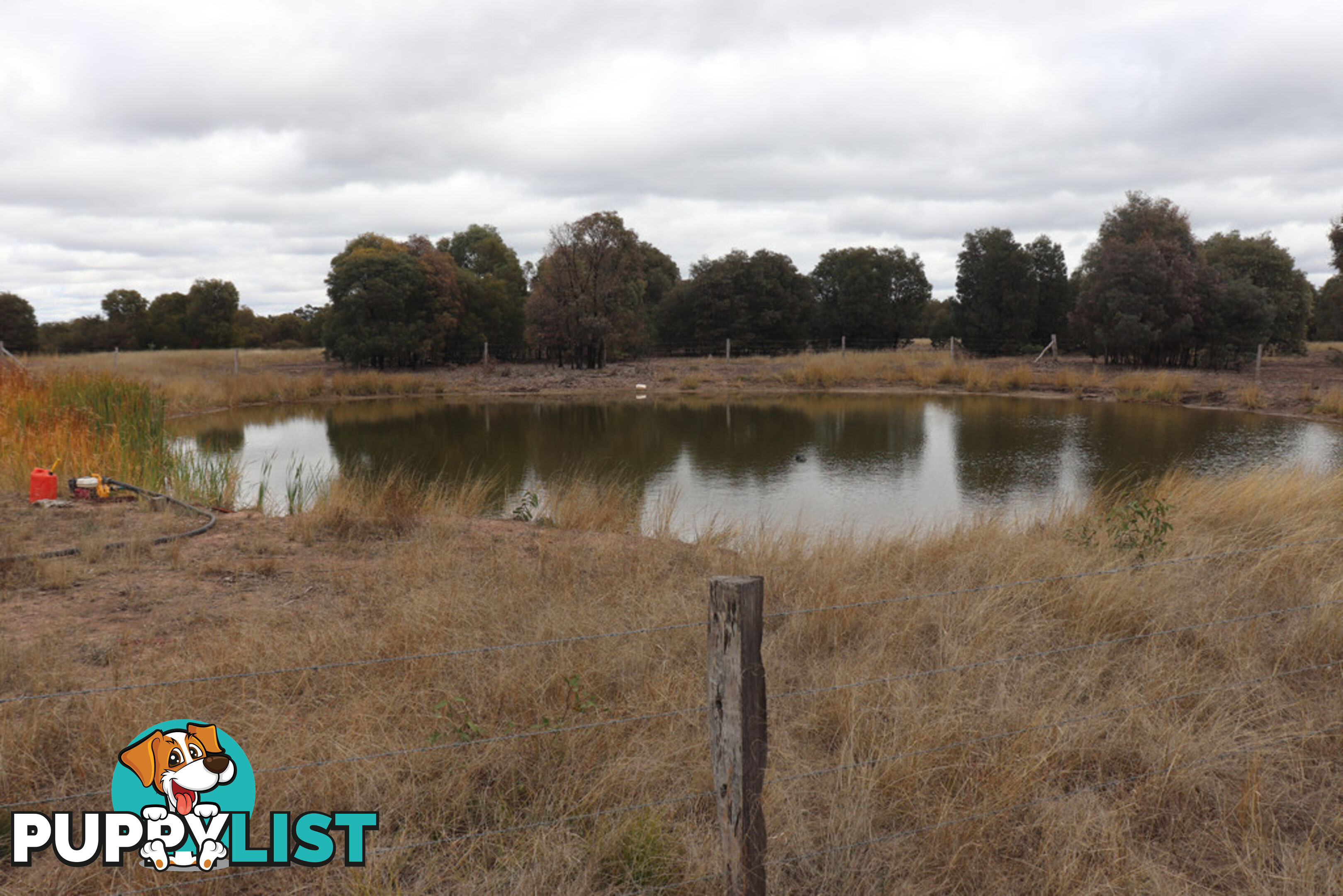 Lot 52 Chinchilla Wondai Road JANDOWAE QLD 4410