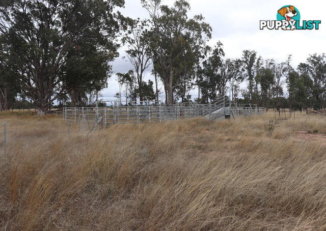 Lot 52 Chinchilla Wondai Road JANDOWAE QLD 4410