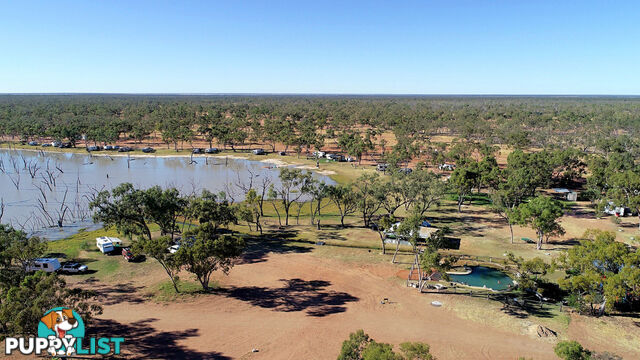 Lara Station Landsborough Highway BARCALDINE QLD 4725