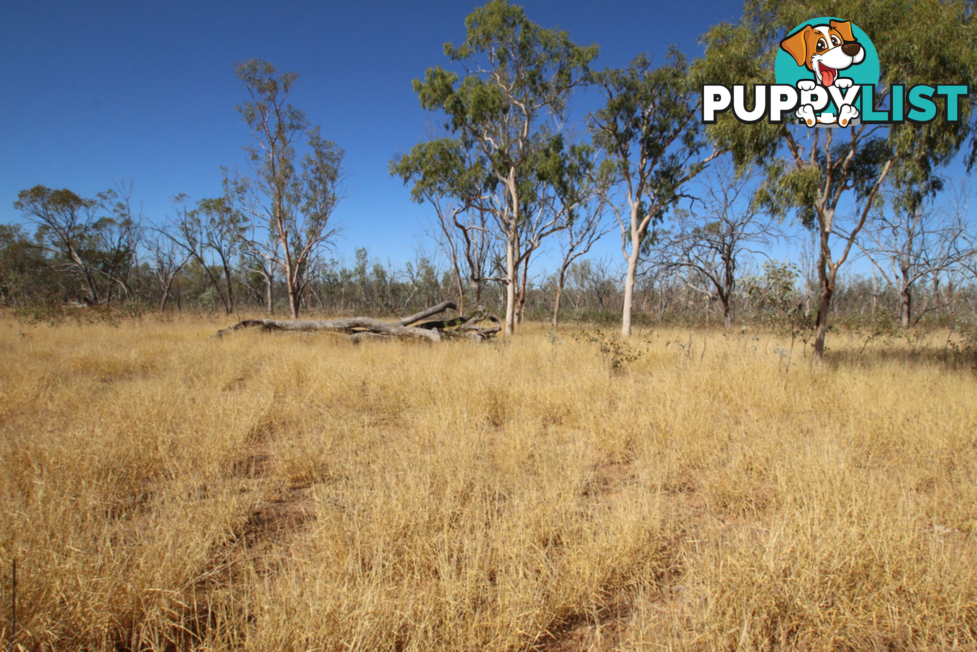 Lara Station Landsborough Highway BARCALDINE QLD 4725