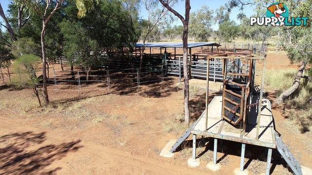 Lara Station Landsborough Highway BARCALDINE QLD 4725