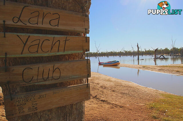 Lara Station Landsborough Highway BARCALDINE QLD 4725