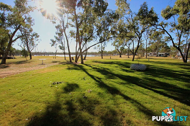 Lara Station Landsborough Highway BARCALDINE QLD 4725