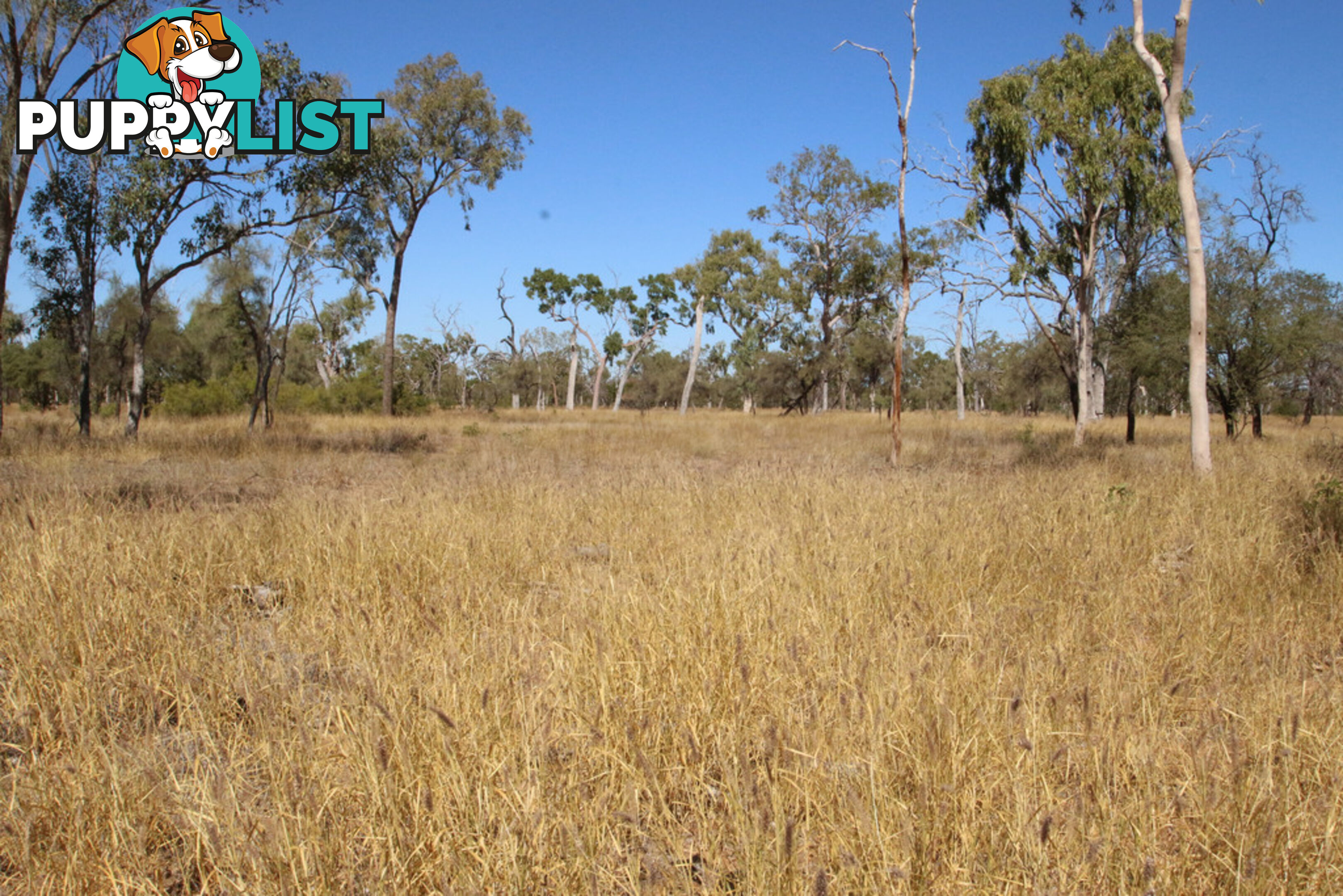 Lara Station Landsborough Highway BARCALDINE QLD 4725