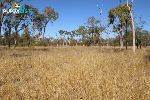 Lara Station Landsborough Highway BARCALDINE QLD 4725