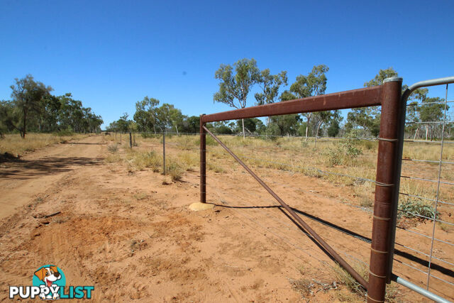 Lara Station Landsborough Highway BARCALDINE QLD 4725