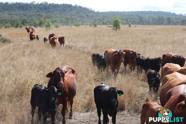 Lot 3 Burnett Highway EIDSVOLD QLD 4627