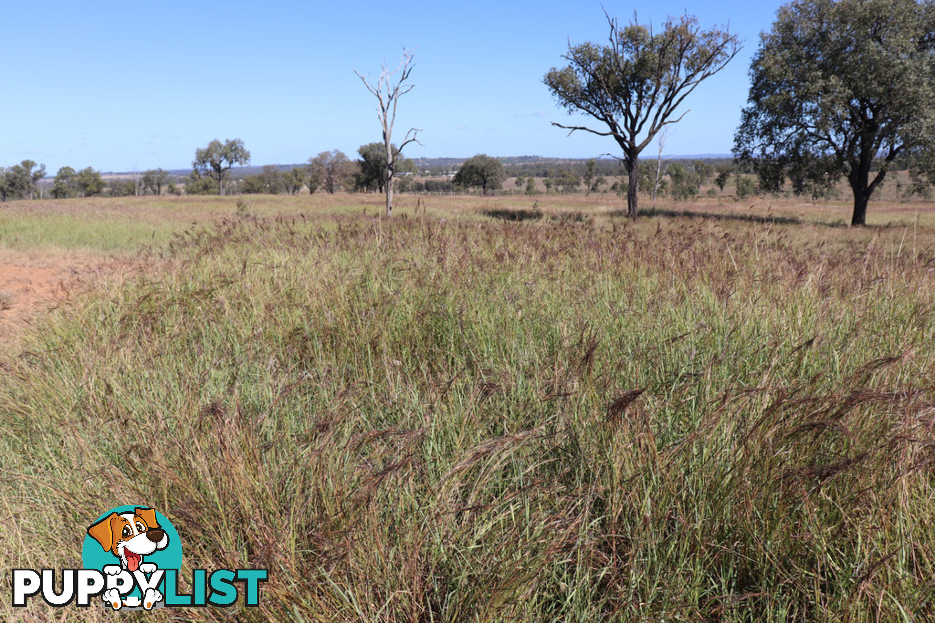 Lot 18 Benhams Road MUNDUBBERA QLD 4626