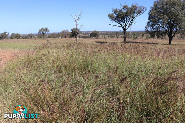 Lot 18 Benhams Road MUNDUBBERA QLD 4626