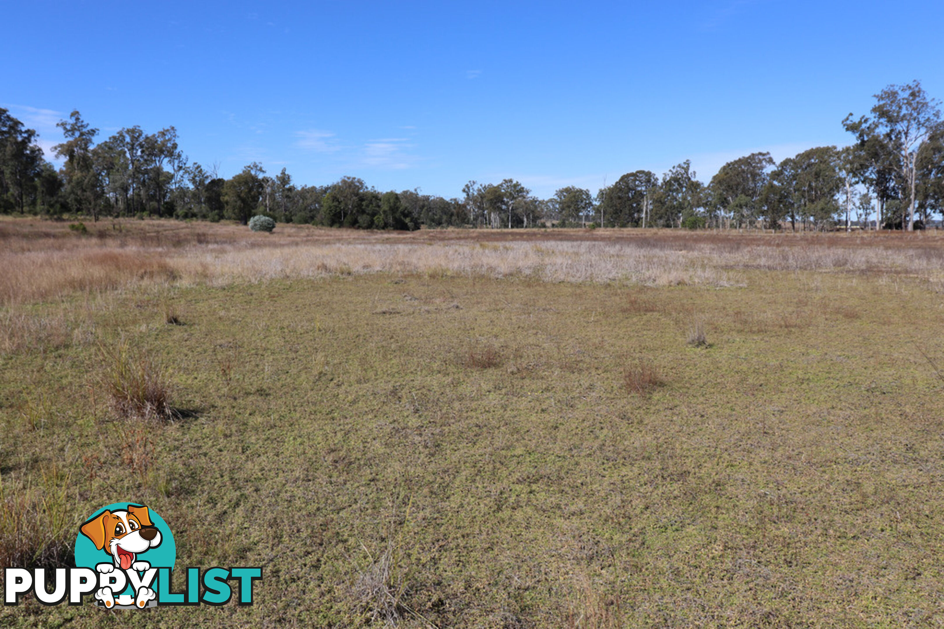 Lot 3 & 289 Lancasters Road, Merlwood MURGON QLD 4605