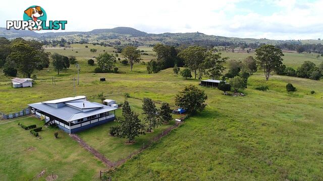 437 Reifs Road, Manyung MURGON QLD 4605