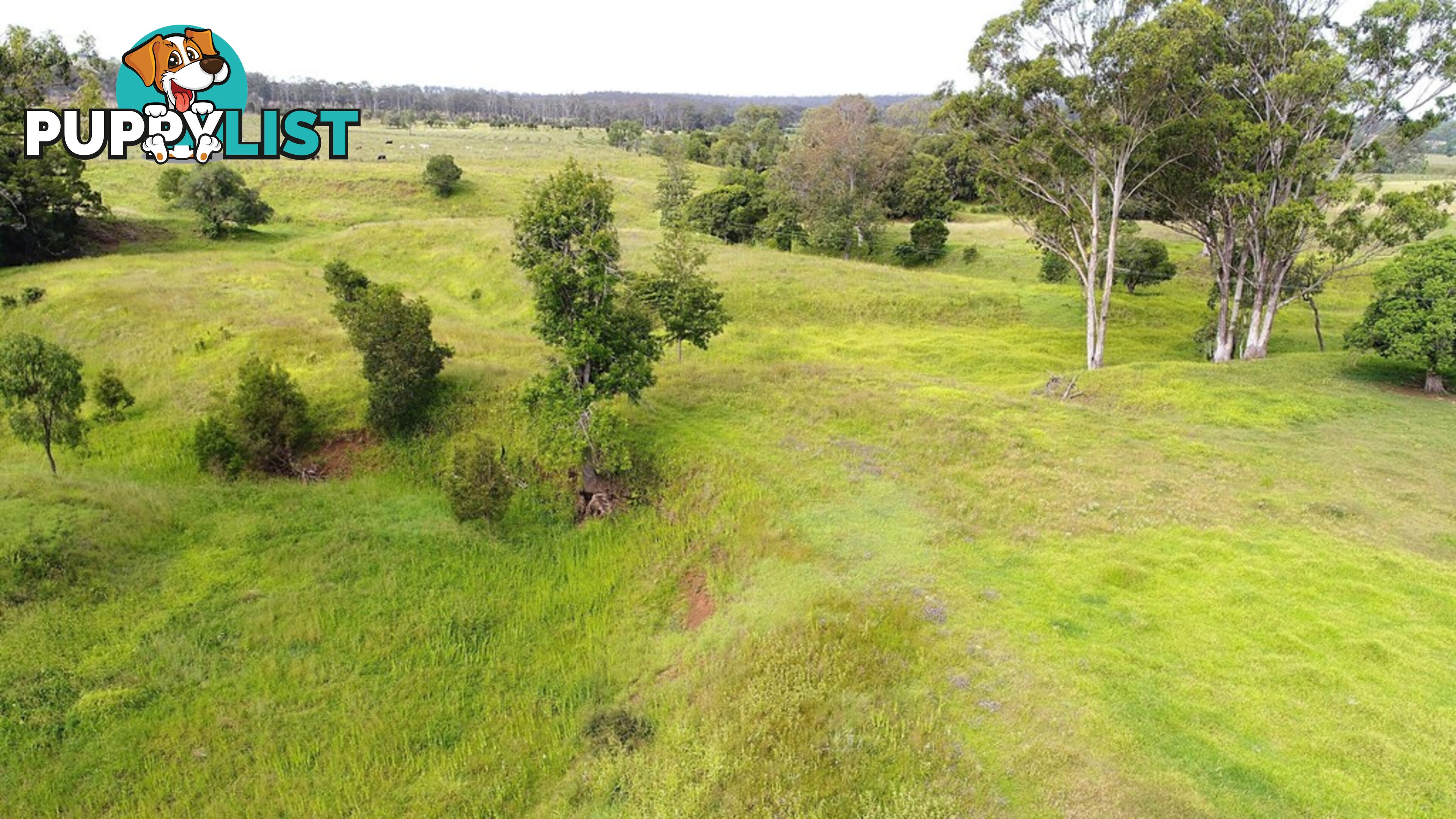 437 Reifs Road, Manyung MURGON QLD 4605