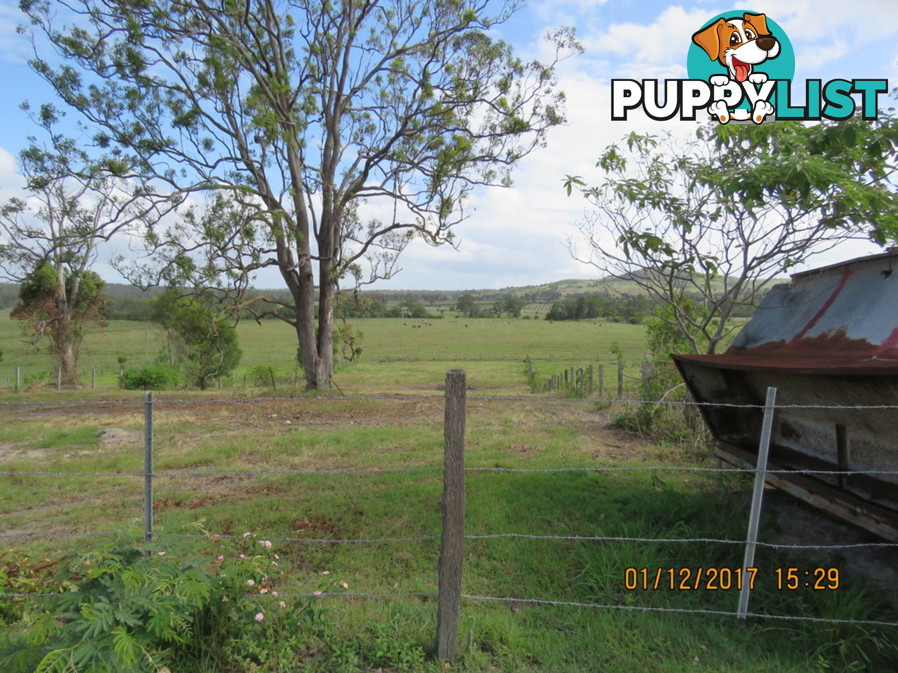 437 Reifs Road, Manyung MURGON QLD 4605