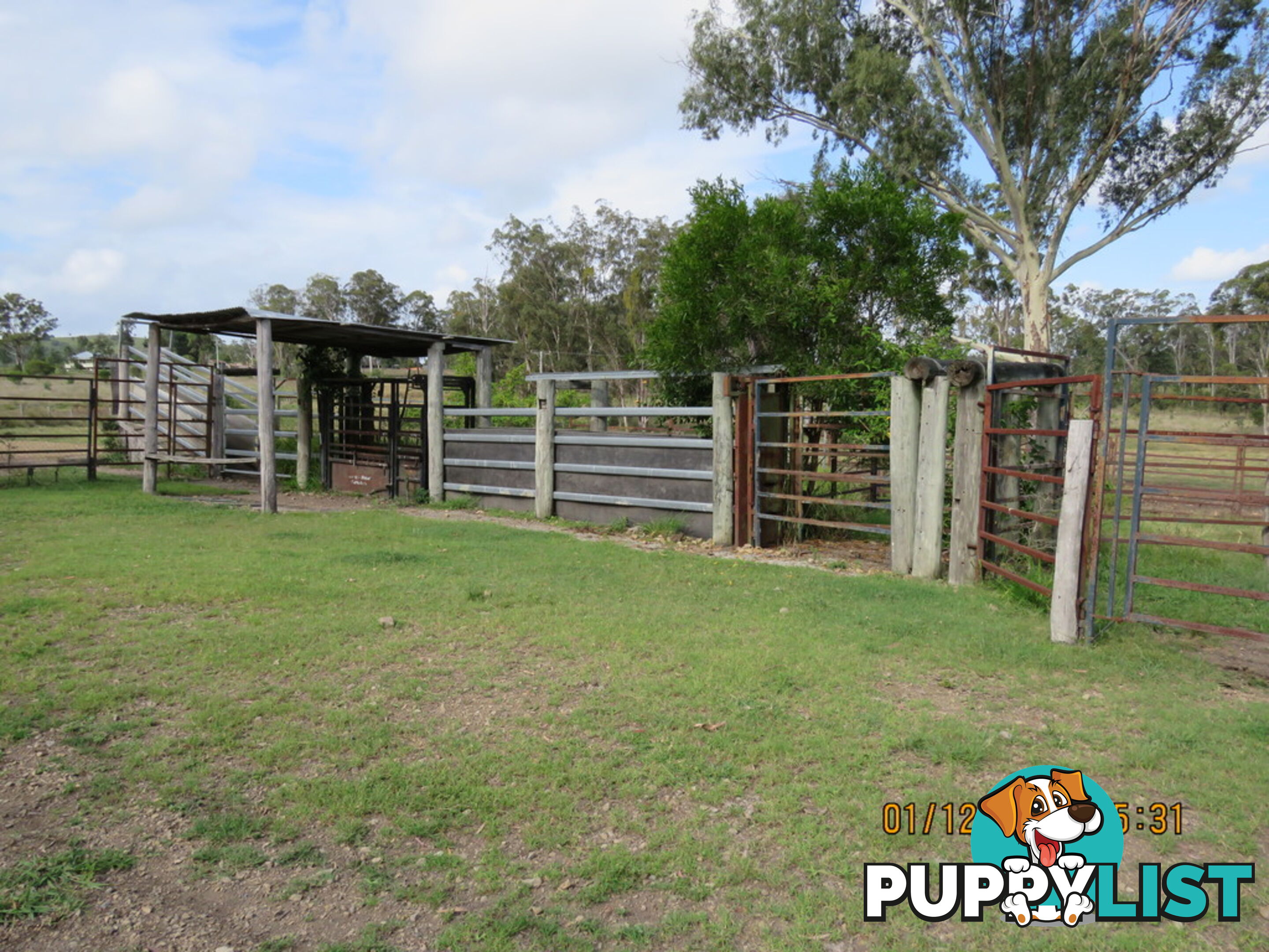 437 Reifs Road, Manyung MURGON QLD 4605