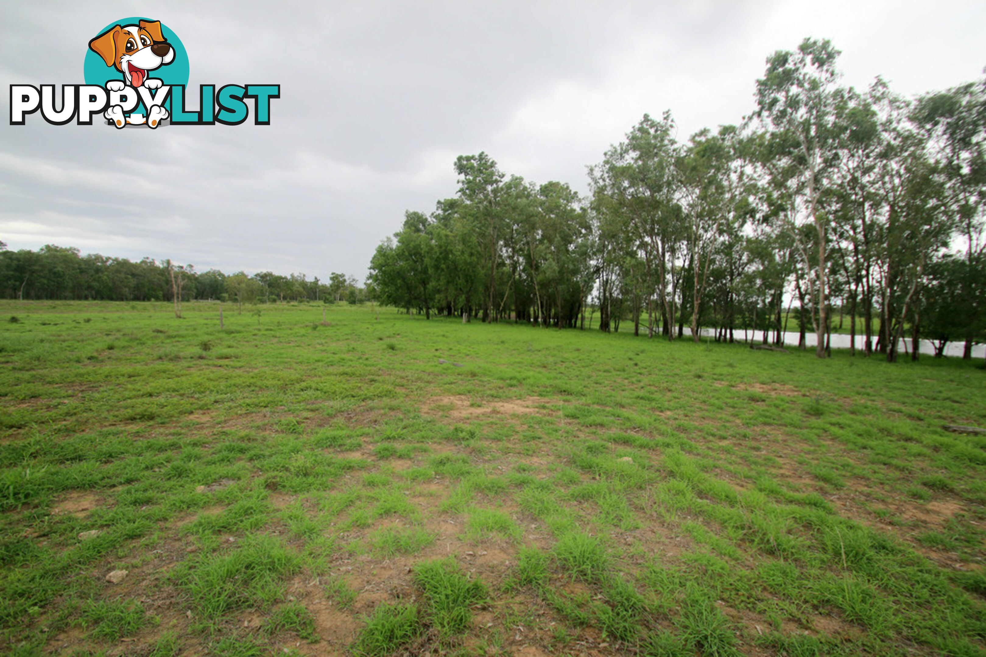 Lot 87 Capricorn Highway DUARINGA QLD 4712