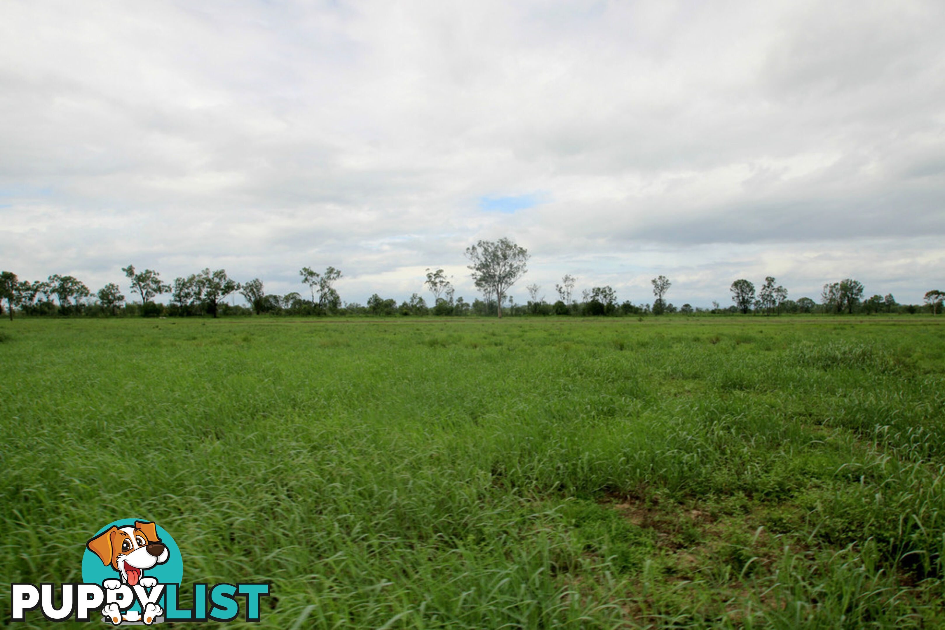 Lot 87 Capricorn Highway DUARINGA QLD 4712