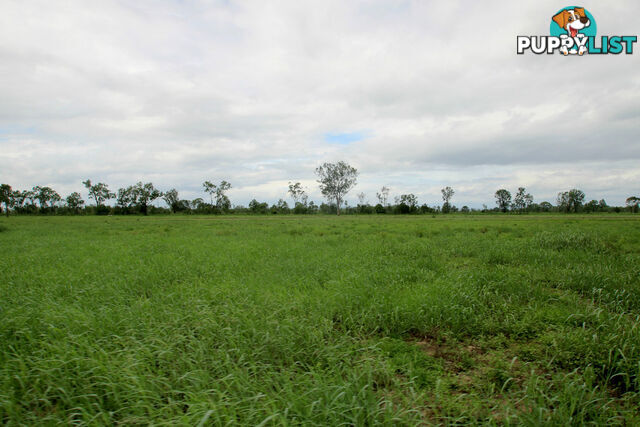 Lot 87 Capricorn Highway DUARINGA QLD 4712