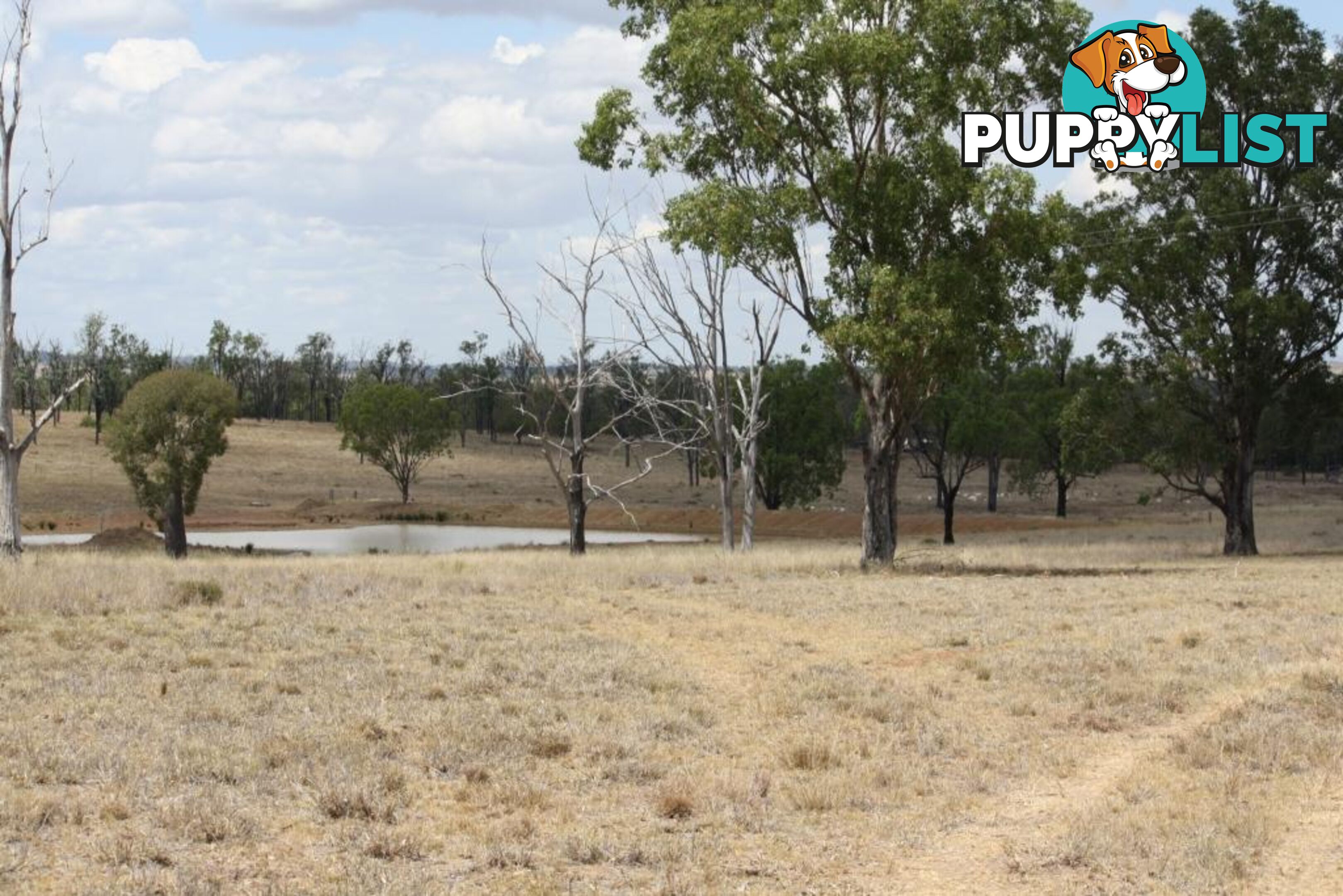 Lot 15 Benhams Road MUNDUBBERA QLD 4626