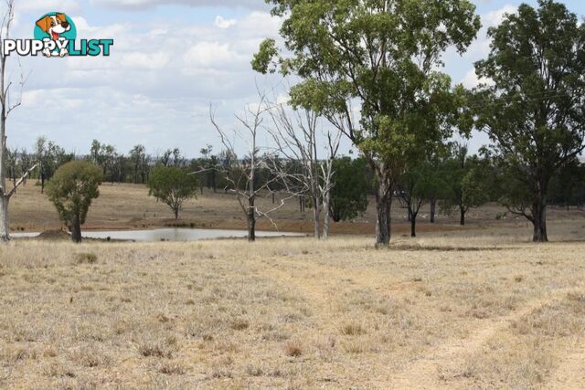 Lot 15 Benhams Road MUNDUBBERA QLD 4626