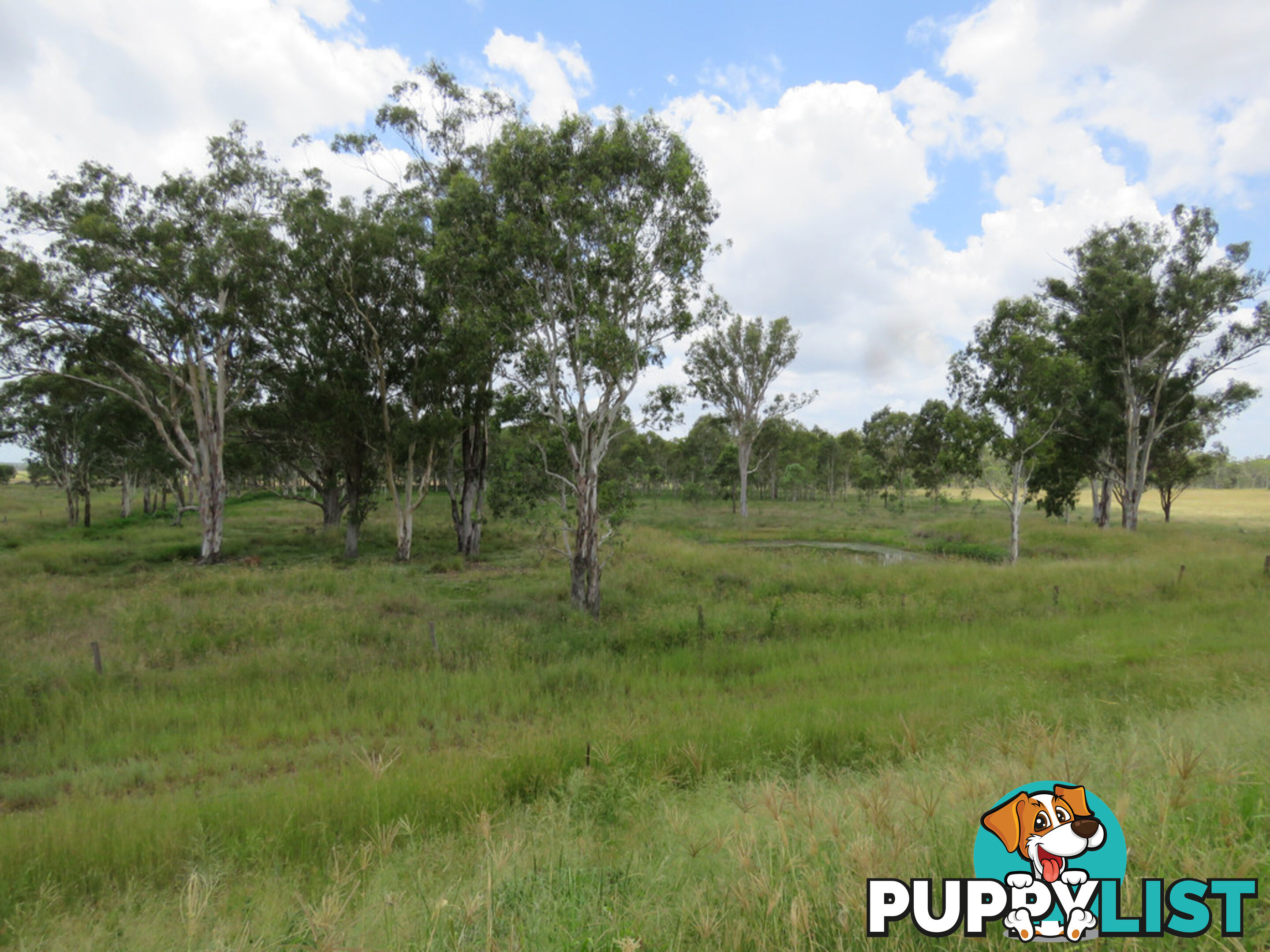 138-168 Mondure-Wheatlands Road WONDAI QLD 4606