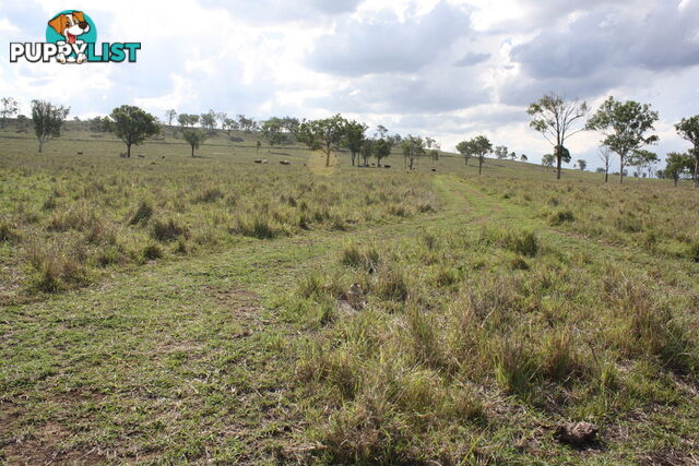 379 Old Coach Road BIGGENDEN QLD 4621