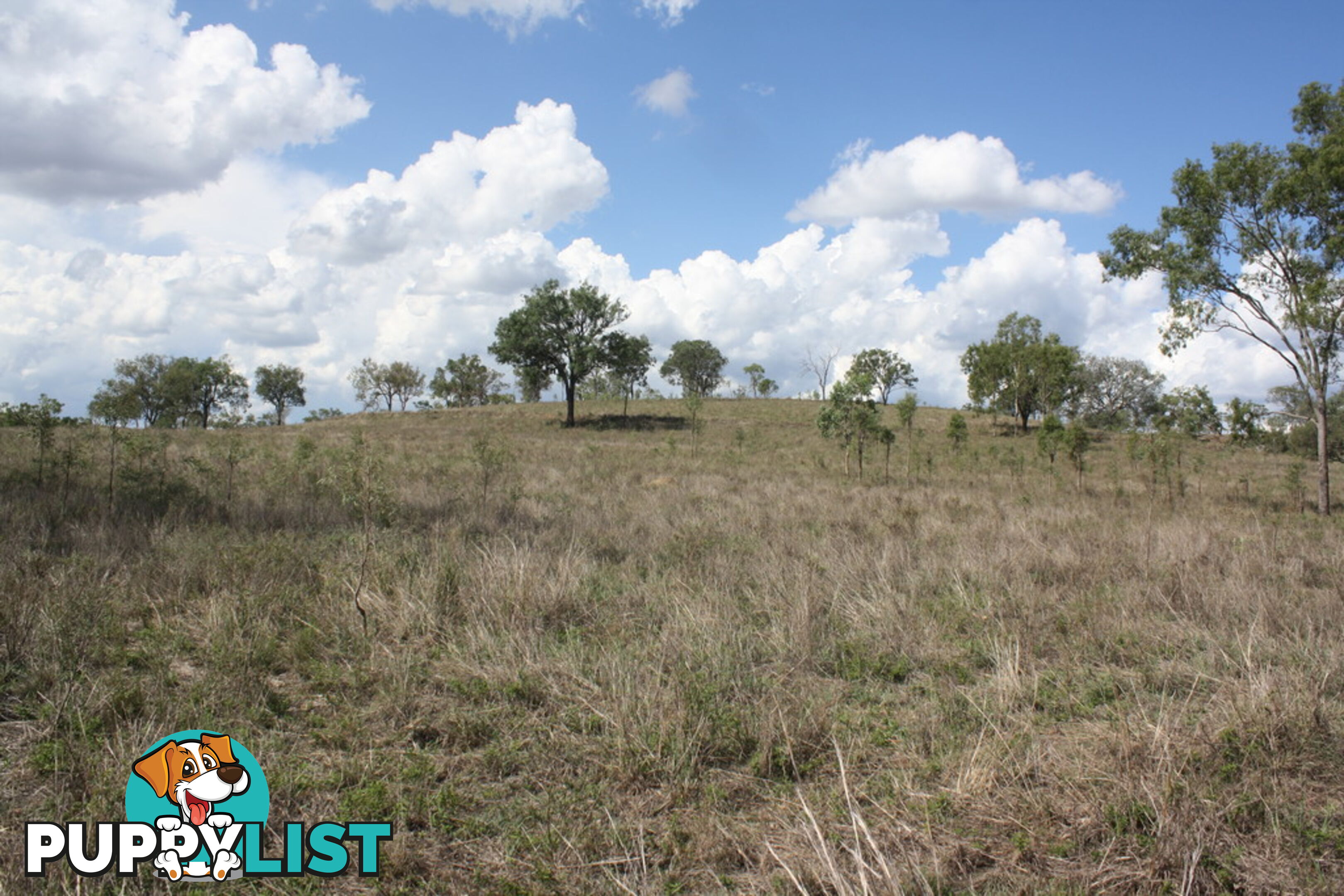 379 Old Coach Road BIGGENDEN QLD 4621