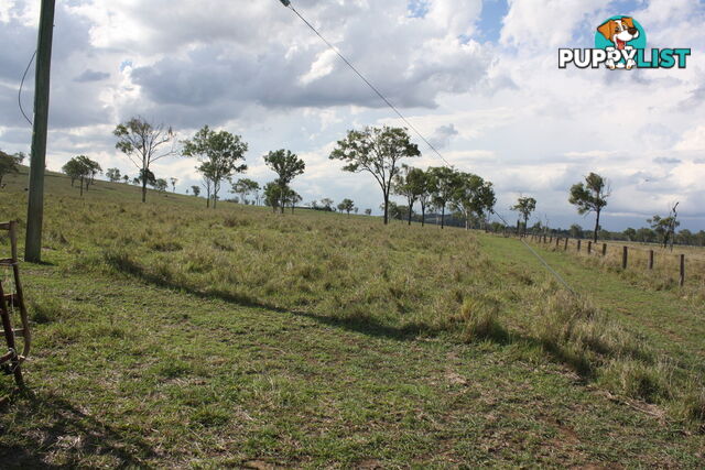 379 Old Coach Road BIGGENDEN QLD 4621