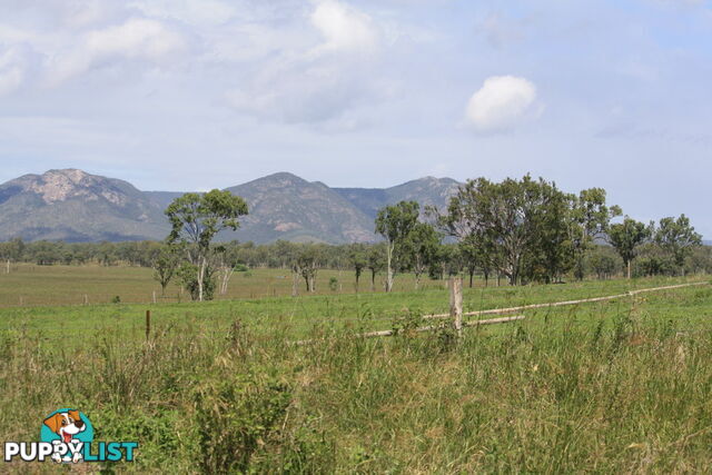 379 Old Coach Road BIGGENDEN QLD 4621