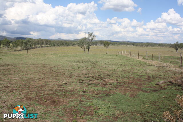 379 Old Coach Road BIGGENDEN QLD 4621