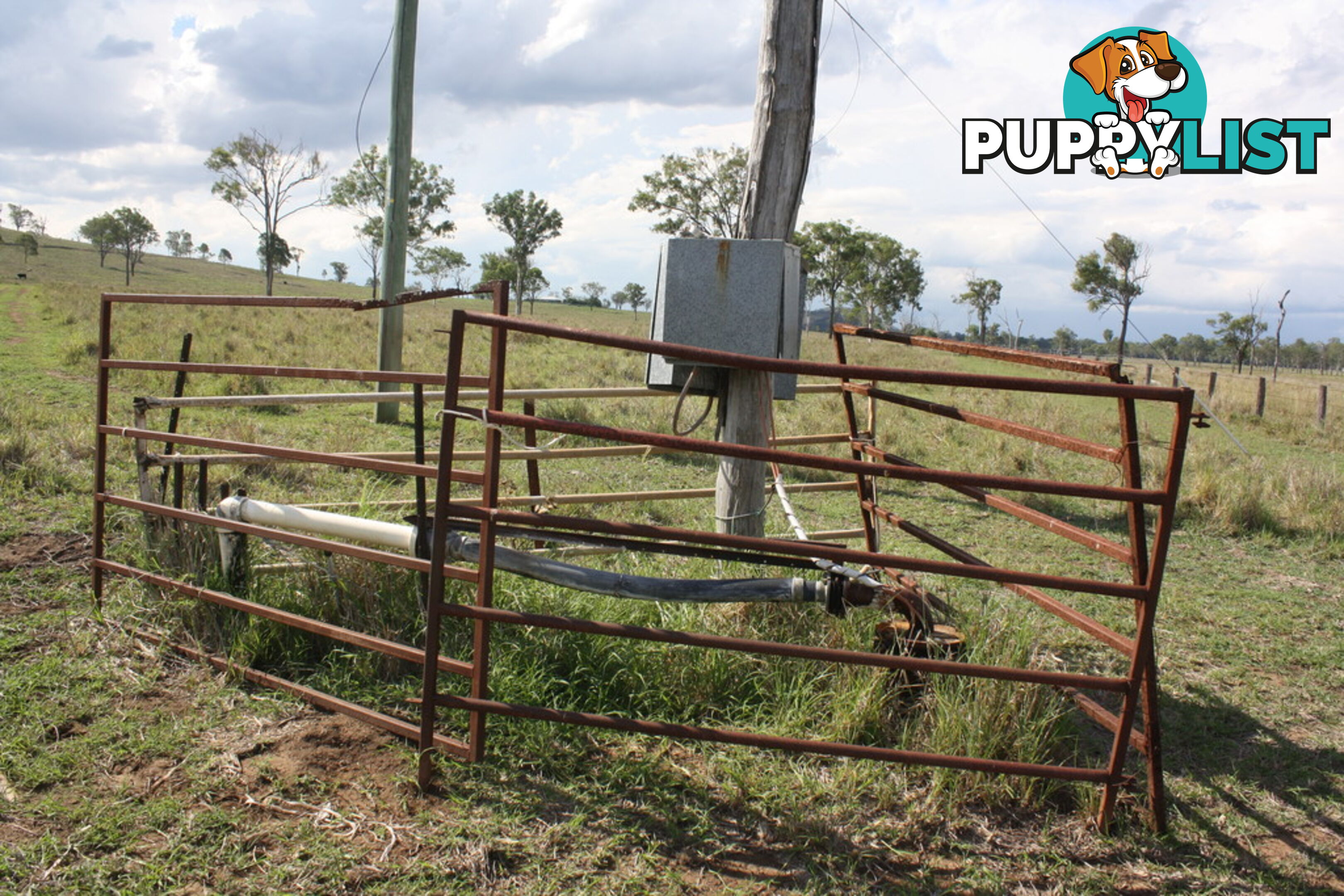 379 Old Coach Road BIGGENDEN QLD 4621