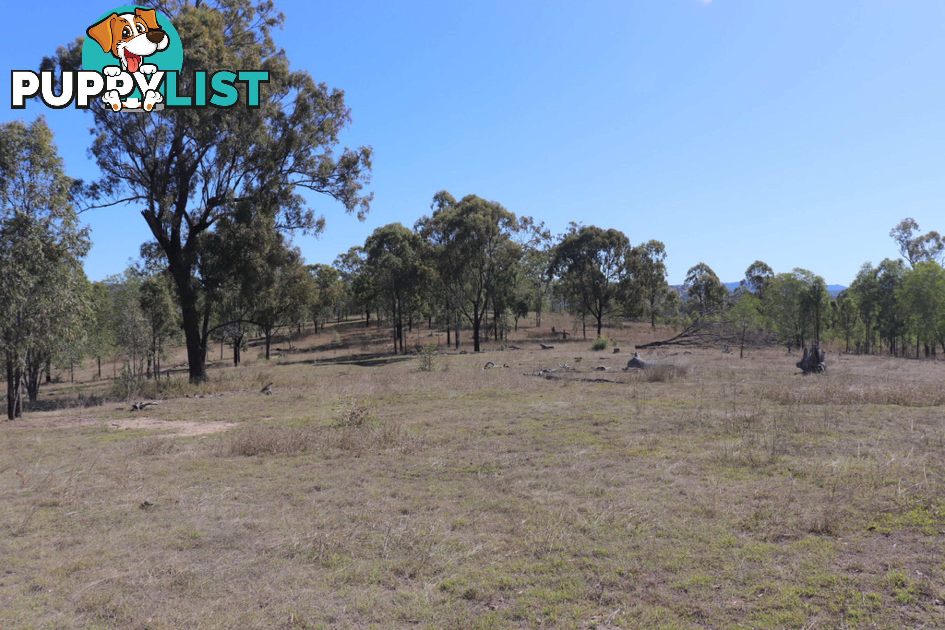 Lot 87 Youlambie Road MONTO QLD 4630