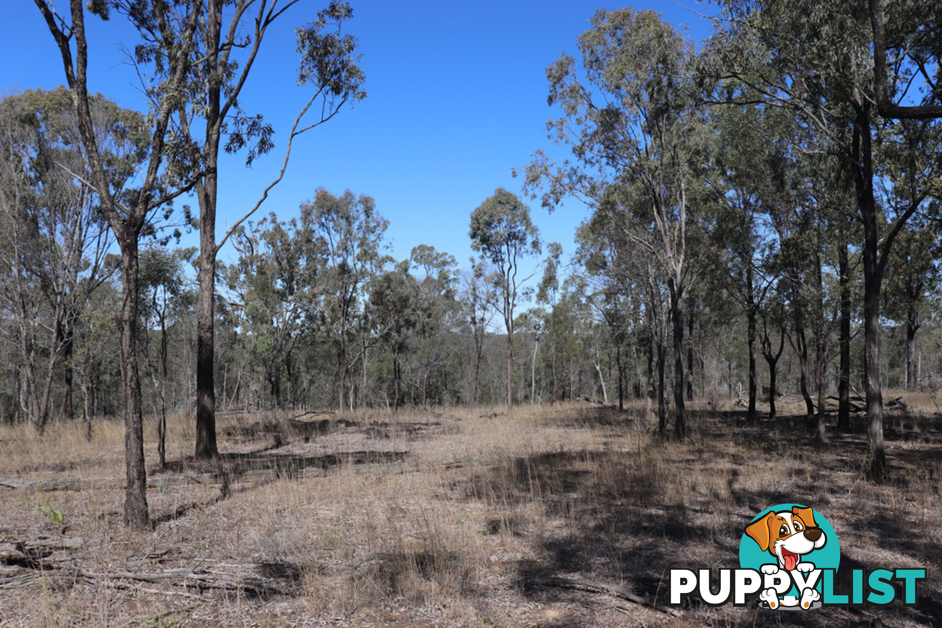 Lot 87 Youlambie Road MONTO QLD 4630