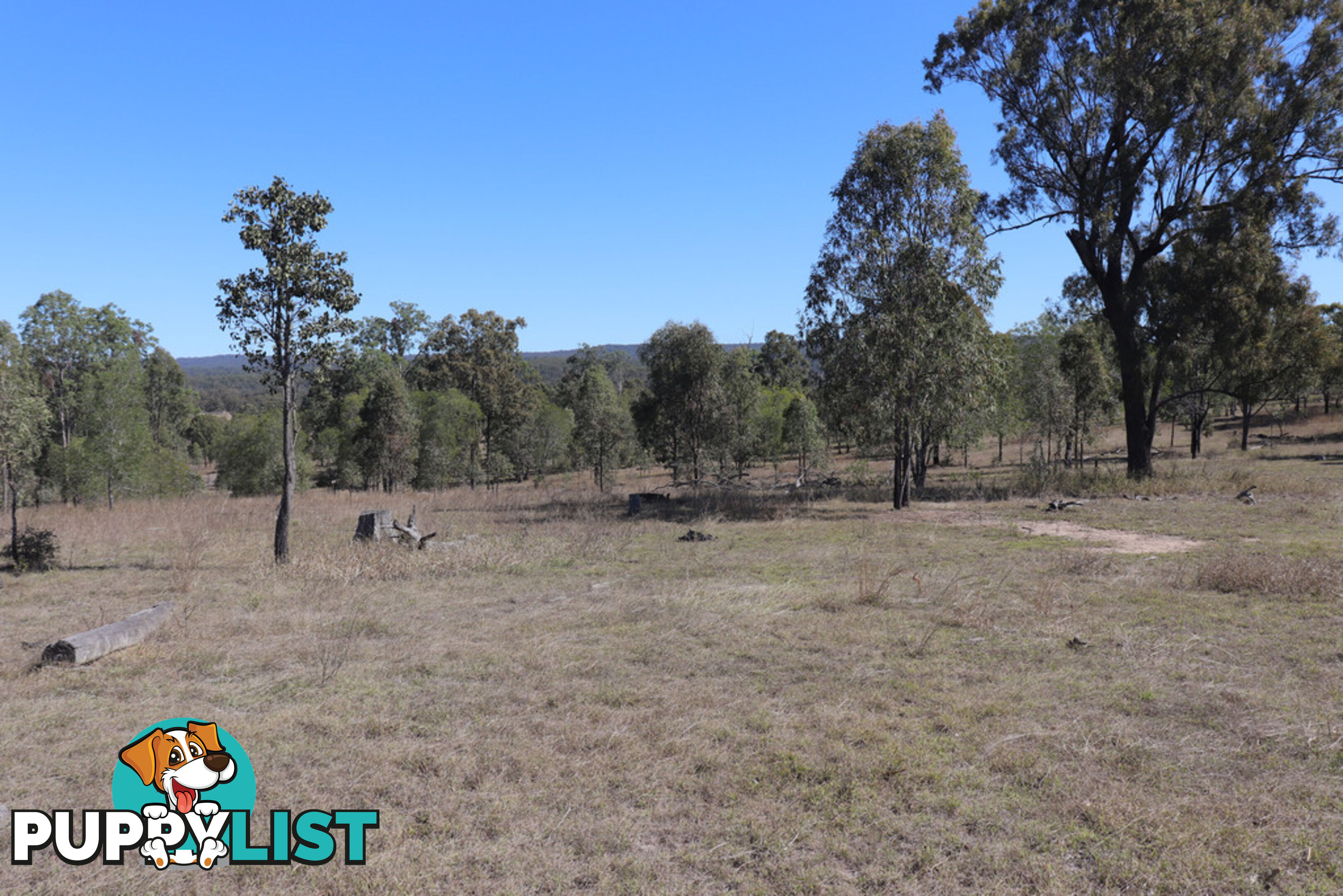 Lot 87 Youlambie Road MONTO QLD 4630