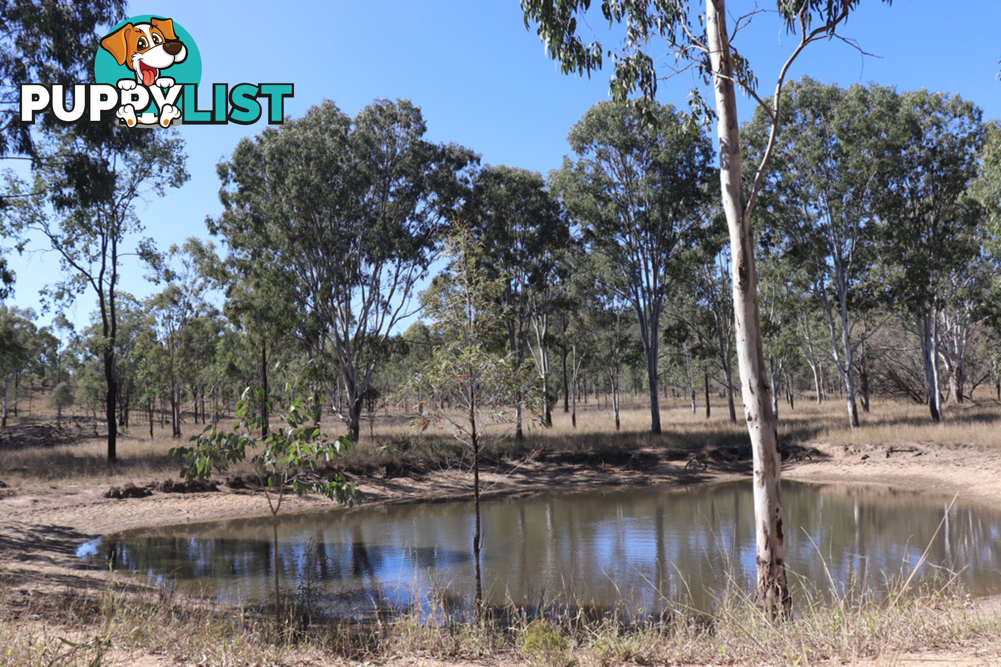 Lot 87 Youlambie Road MONTO QLD 4630