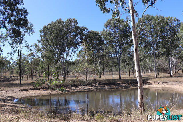 Lot 87 Youlambie Road MONTO QLD 4630